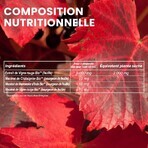 Santarome Vigne Rouge Bevordert de veneuze terugkeer Bio 20 ampullen van 10 ml Santarome Vigne Rouge Bevordert de veneuze terugkeer Bio 20 ampullen van 10 ml