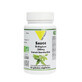 Vit&#39;All+ Organic Sage 200mg 60 capsules