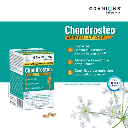 Granions Chondrostéo Chondrosteo Articulations 3x90 tabletten