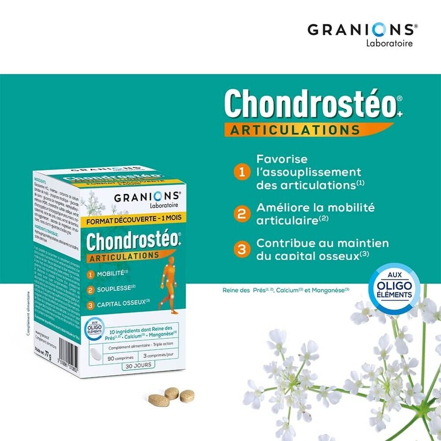 Granions Chondrostéo Chondrosteo Joints 3x90 Tablets