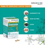 Granions Chondrostéo Chondrosteo Joints 3x90 Tablets