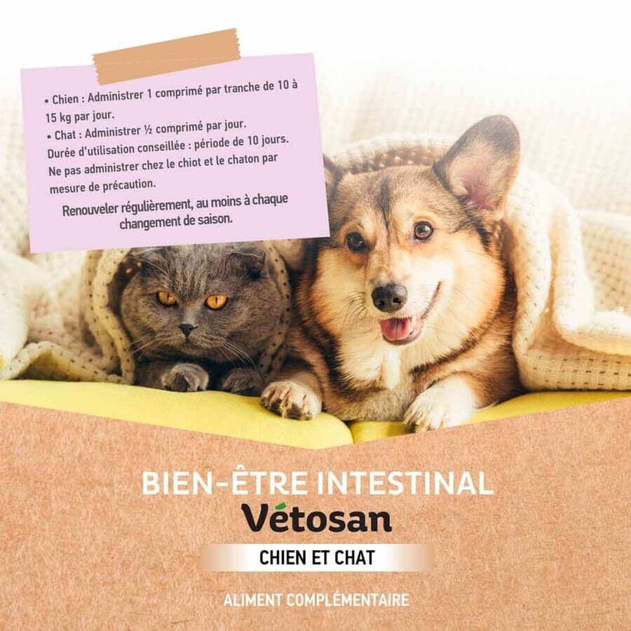 Clement-Thekan Vétosan Anti-Vers Chien et Chat 60 comprimés