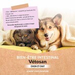 Clement-Thekan Vétosan Anti-Vers Chien et Chat 60 comprimés Clement-Thekan Vétosan Anti-Vers Chien et Chat 60 comprimés