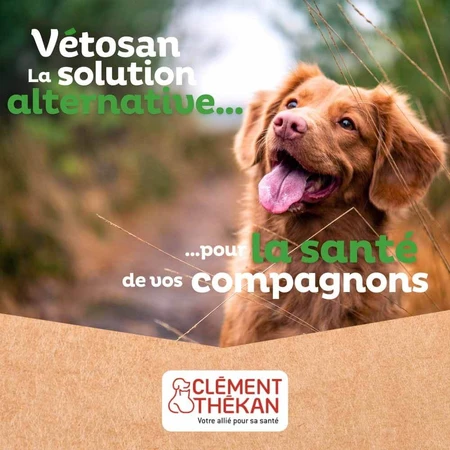 Clement-Thekan Vétosan Antiparasitario Perros y Gatos 60 comprimidos