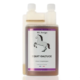 Mi Amigo Equit Gastulce 1L