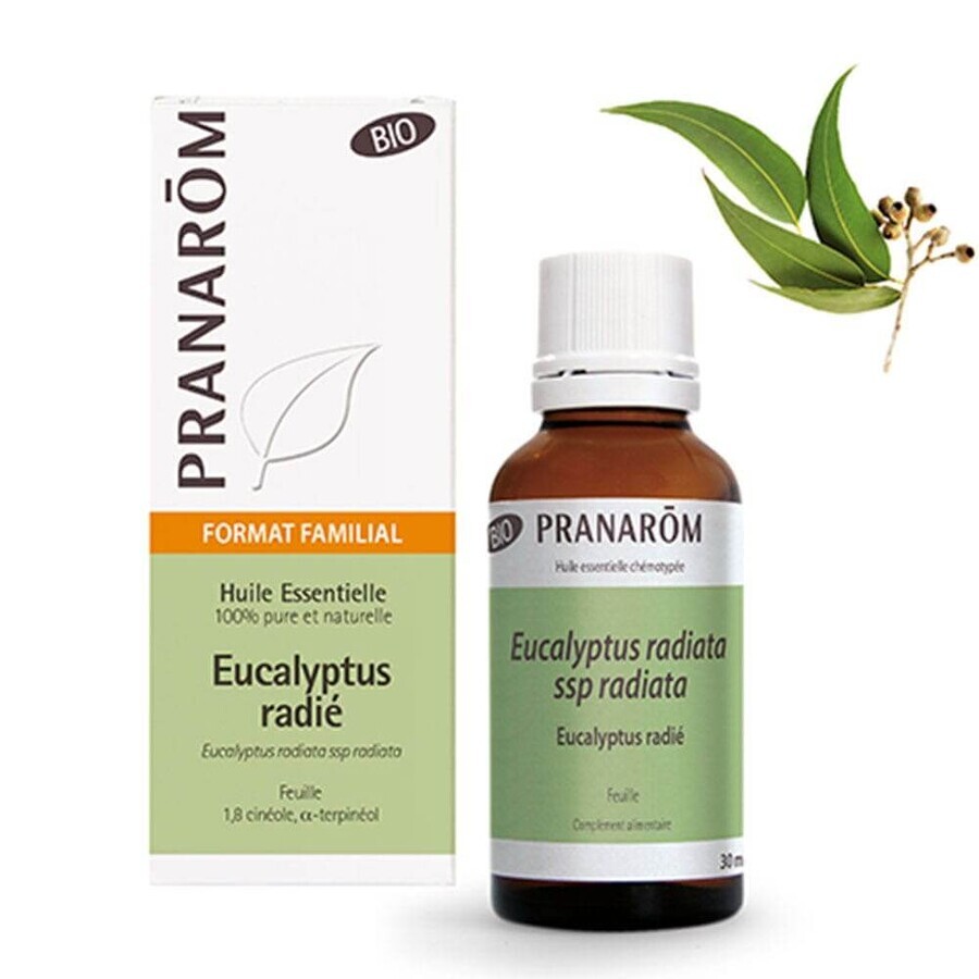 Comprar Pranarôm Aceites Esenciales Eucalipto Radie BIO 30ml Pranarôm Aceites Esenciales Eucalipto Radie BIO 30ml