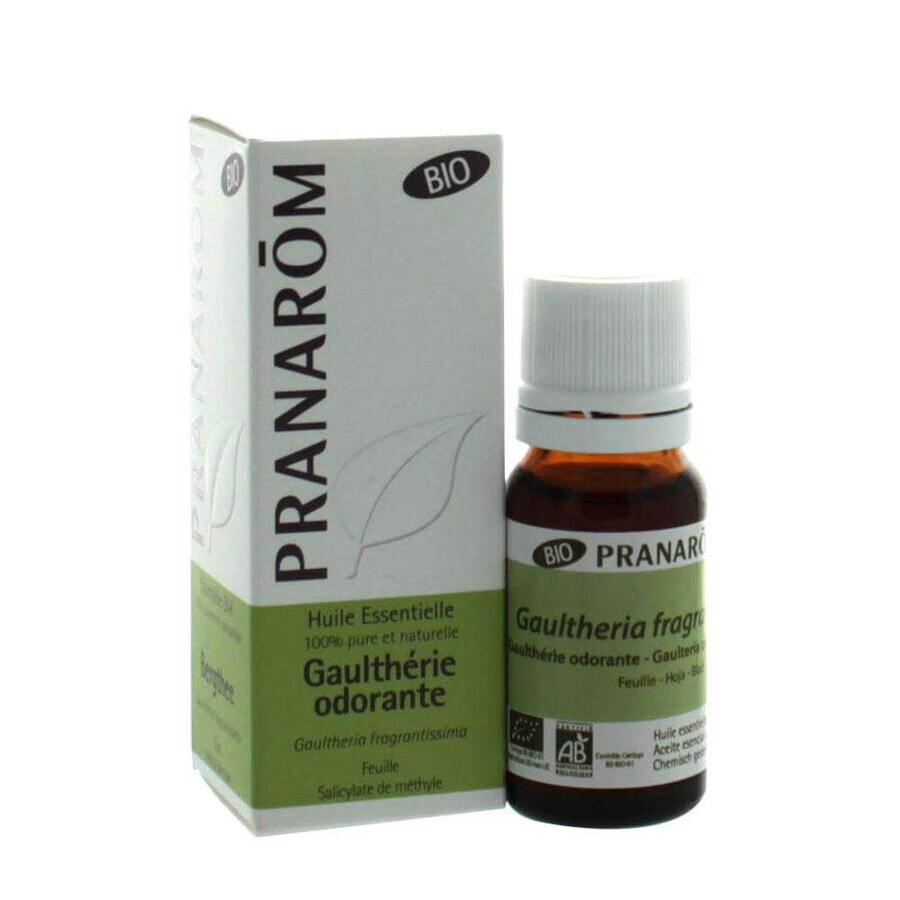 Cumpără Pranarôm Essential Oils Ulei esențial organic de Wintergreen dulce 10 ml Pranarôm Essential Oils Ulei esențial organic de Wintergreen dulce 10 ml