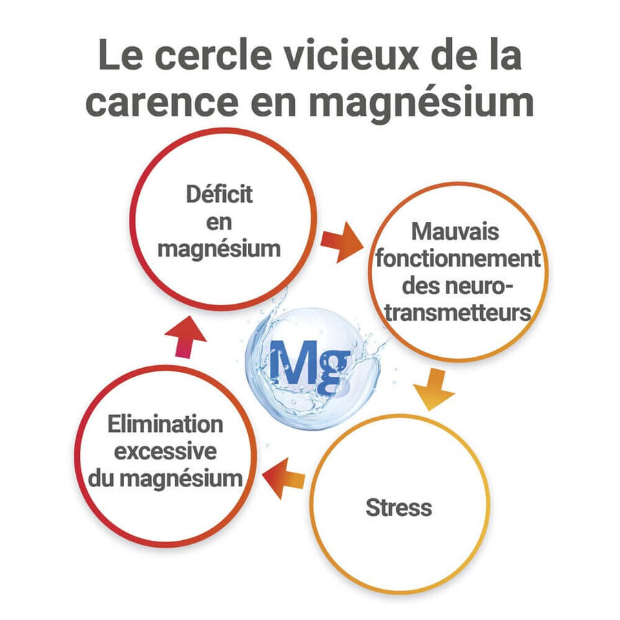 Mag 2 24h Magneziu marin 2x 45 tablete + 15 tablete