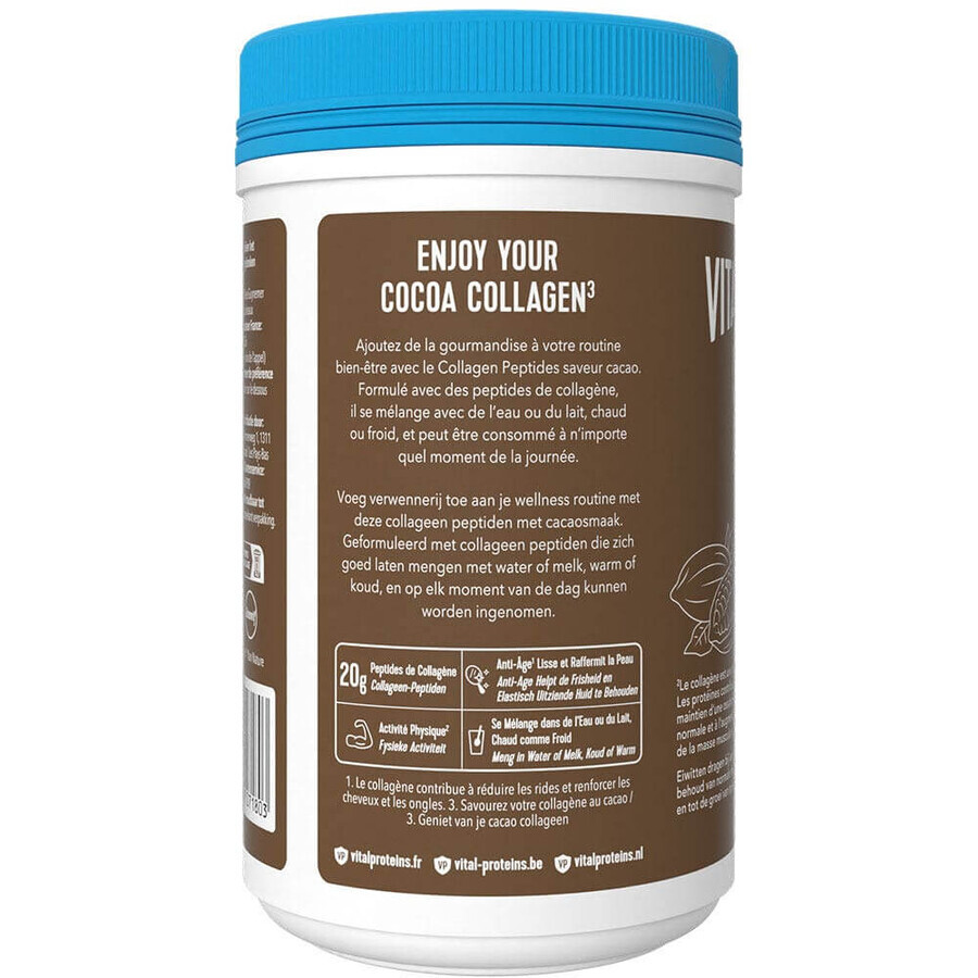 Vital Proteins Collagen Peptide Saveur Cocoa 297g
