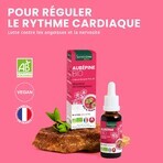 Santarome Sprout Hawthorn Organic Gémmothérapie 30 ml Santarome Sprout Hawthorn Organic Gémmothérapie 30 ml