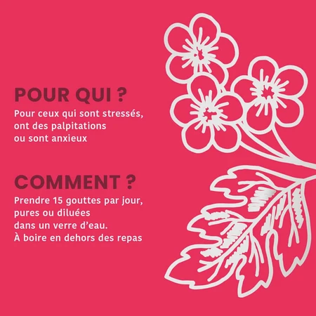 Santarome Spruit Meidoorn Biologische Gémmothérapie 30 ml