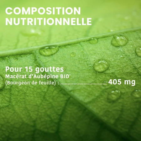 Santarome Spruit Meidoorn Biologische Gémmothérapie 30 ml
