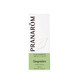 Pranar&#244;m Essential Oils Ginger essential oil 5ml