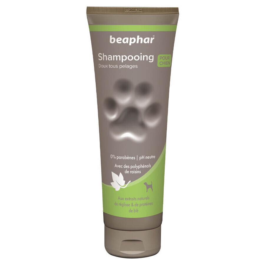 Comprar Beaphar Champú suave para perros con todo tipo de pelaje 250ml Beaphar Champú suave para perros con todo tipo de pelaje 250ml