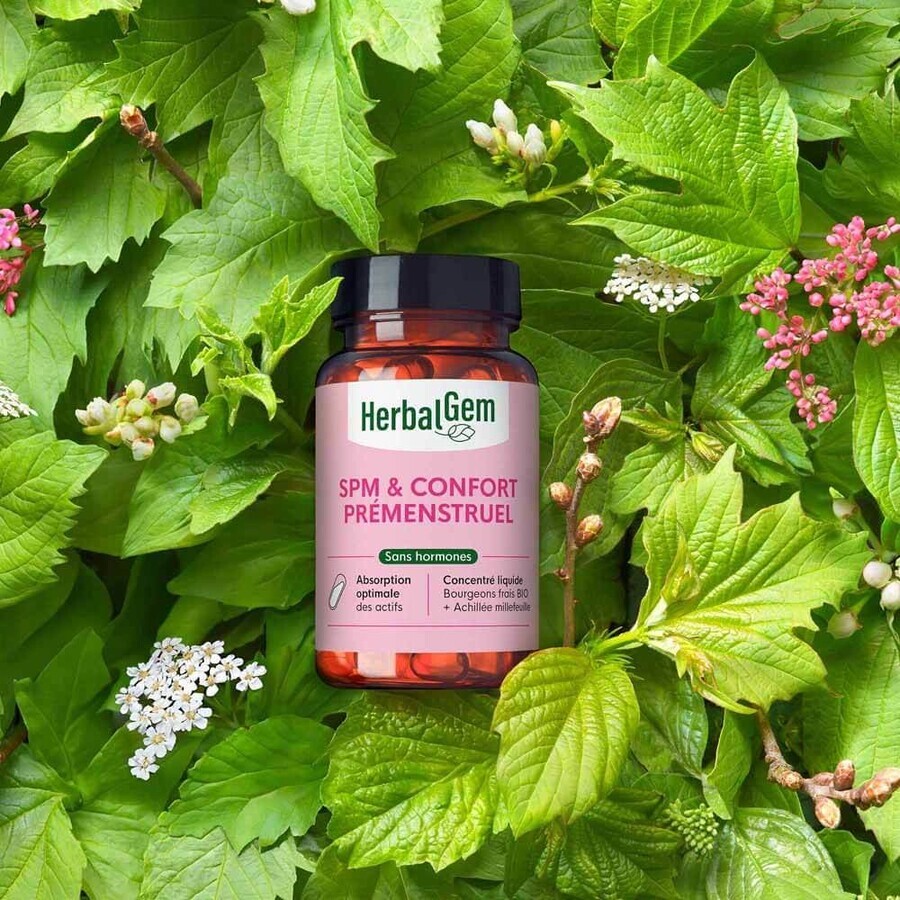 Herbalgem Gemmocaps PMS en premenstrueel welzijn 30 capsules