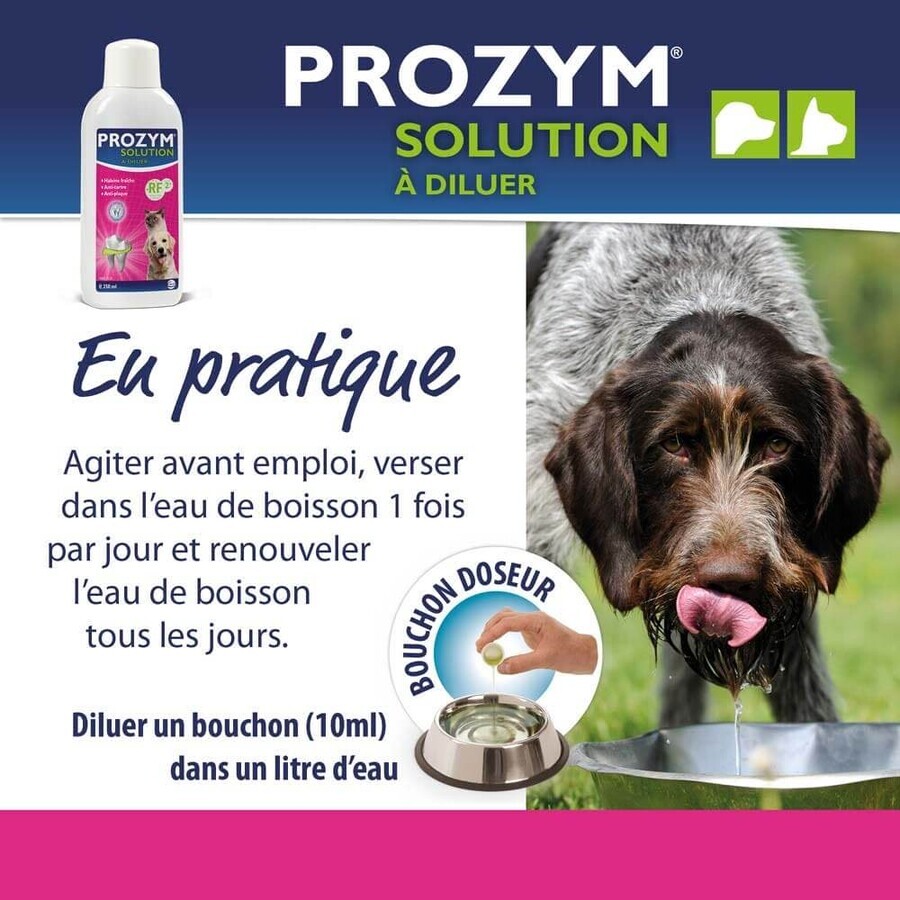 Ceva Prozym Solución bebible para la higiene bucal de los animales 250ml