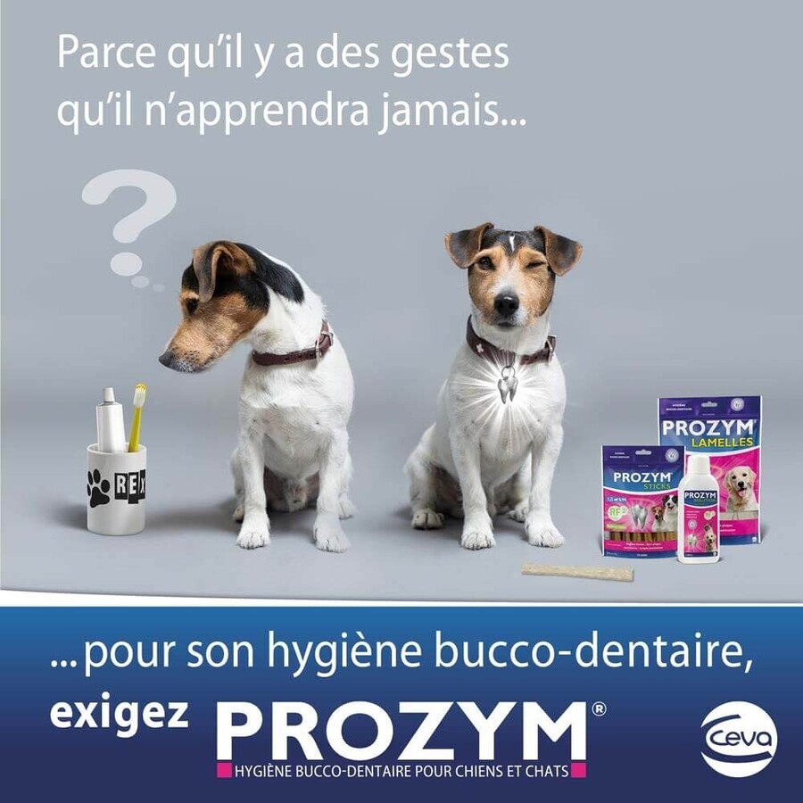 Ceva Prozym Drinkoplossing voor mondhygiëne bij dieren 250ml Ceva Prozym Drinkoplossing voor mondhygiëne bij dieren 250ml