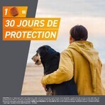 Frontline Frontpro Antiparasitaire Grand Chien 10-25kg Puces et Tiques x3 comprimés Frontline Frontpro Antiparasitaire Grand Chien 10-25kg Puces et Tiques x3 comprimés