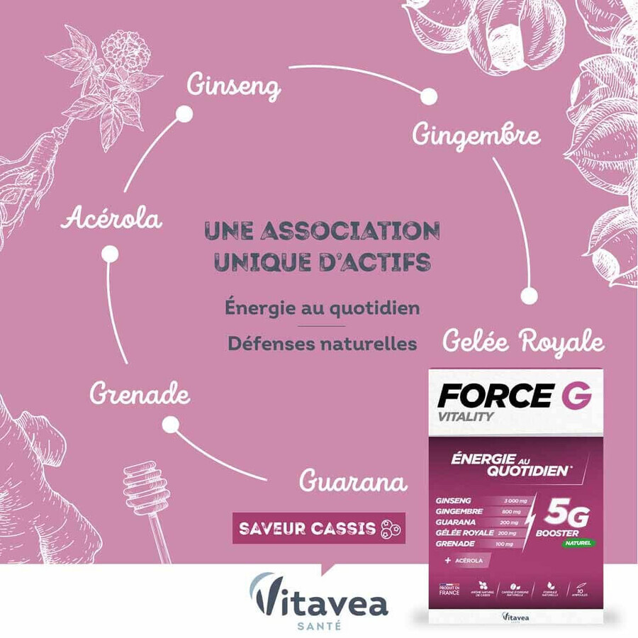 Vitavea Santé Force G Daily Energy Vitality 10 Ampules