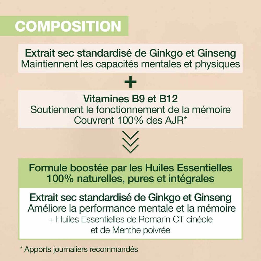 Pranarôm Aromaboost Focus 60 Kapseln