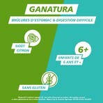 GaNatura Heartburn and Digestion Triple Action 45 Tablets