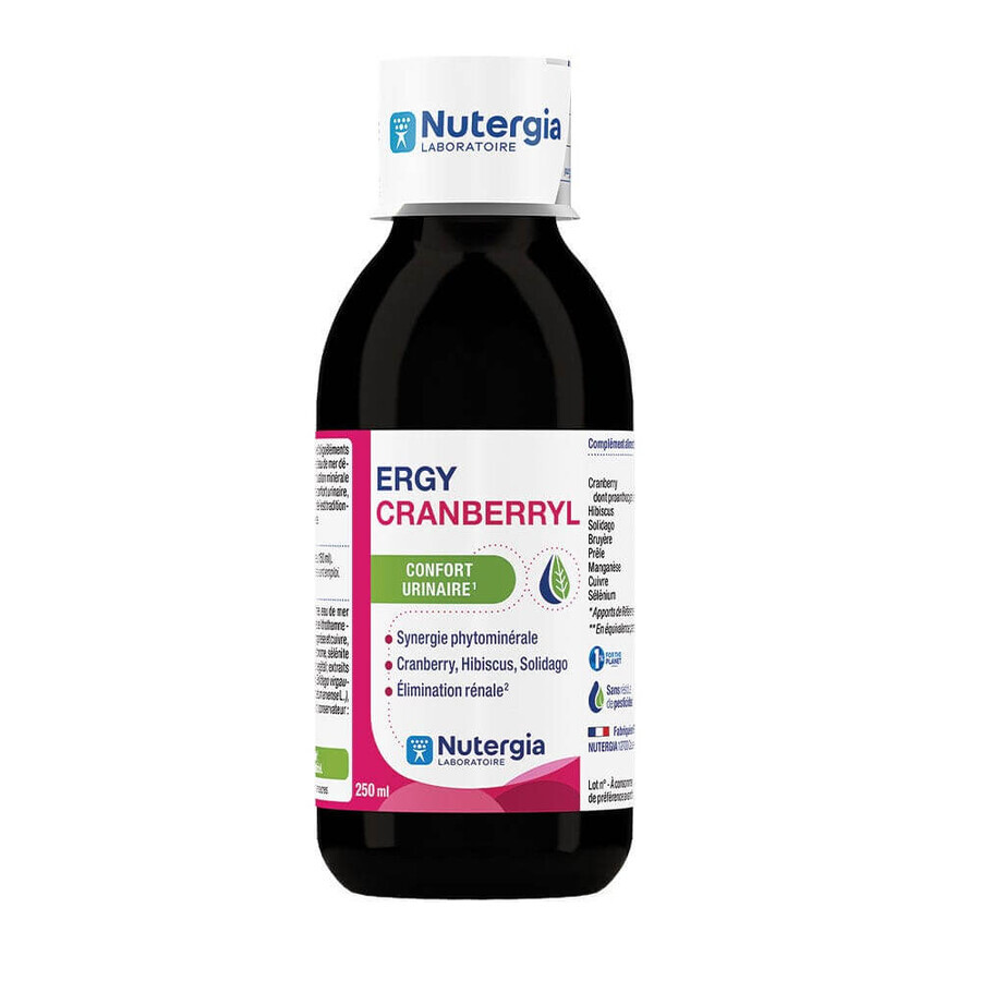Nutergia Ergycranberryl Comfort urinario 250ml