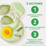 Santarome Bienestar Hígado Bio 30 gels Confort Digestif 30 gélules