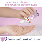 Baccide Gel Mains Désinfectant Hydroalcoolique Pivoine Peaux sensibles 100ml Baccide Gel Mains Désinfectant Hydroalcoolique Pivoine Peaux sensibles 100ml