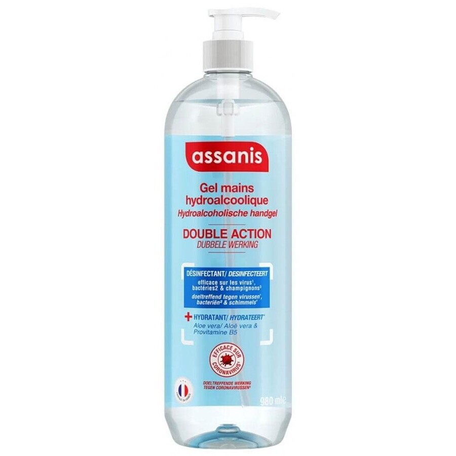 Assanis Anitbakterielles Gel Familiengröße 980ml