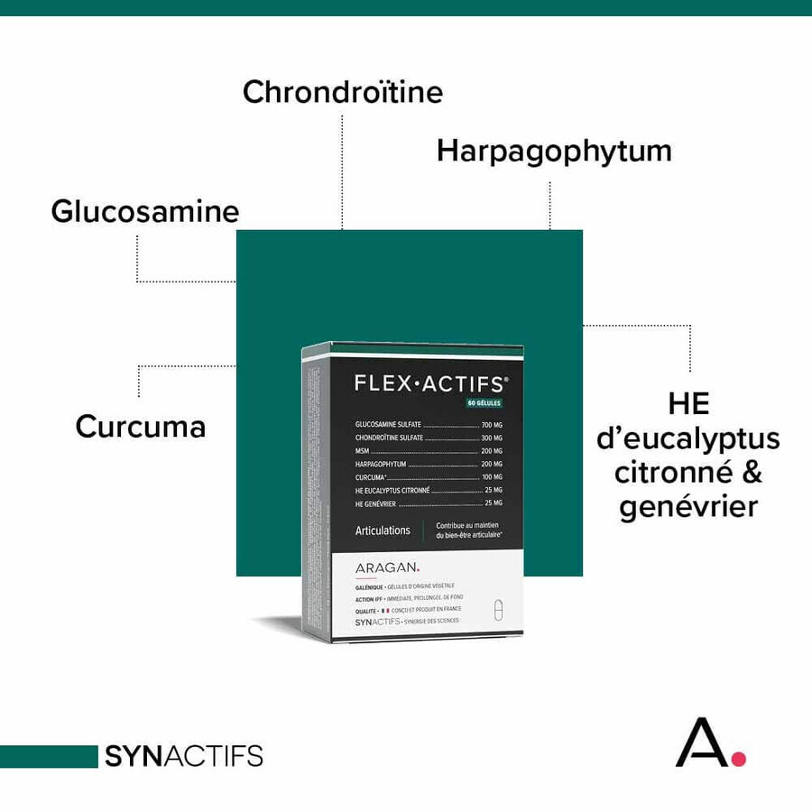 Aragan Synactifs Flexible Joints 60 Gelules