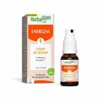 Herbalgem Complessi di gemmoterapia Energem Coup De Boost Spray Bio 15ml Herbalgem Complessi di gemmoterapia Energem Coup De Boost Spray Bio 15ml