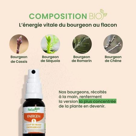 Herbalgem Gem Therapy Complexes Energem Coup De Boost Spray Bio 15ml
