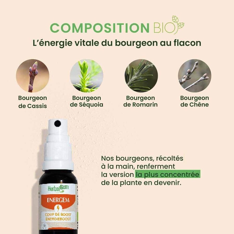 Herbalgem Complessi di gemmoterapia Energem Coup De Boost Spray Bio 15ml