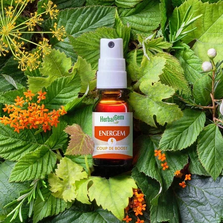 Herbalgem Gem Therapy Complexes Energem Coup De Boost Spray Bio 15ml