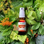 Herbalgem Complessi di gemmoterapia Energem Coup De Boost Spray Bio 15ml Herbalgem Complessi di gemmoterapia Energem Coup De Boost Spray Bio 15ml