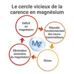 Mag 2 24h Magnesium Marine 40 Tabletten Mag 2 24h Magnesium Marine 40 Tabletten