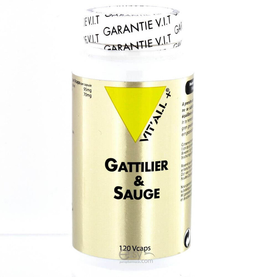 Acquista Vit'All+ Casto e salvia 120 capsule Vit'All+ Casto e salvia 120 capsule