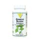 Vit&#39;All+ Ginkgo Biloba Standardisierter Bio-Extrakt 500 mg 60 Kapseln