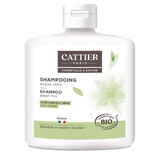Cattier Argilla Verde Cuoio Capelluto Grasso Bio 250 ml