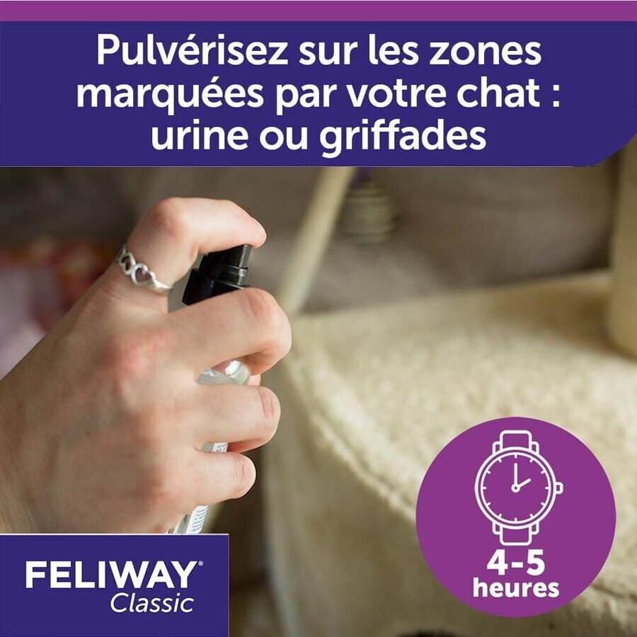 Feliway Classic Pheromone Spray Solution Cat 60 ml Feliway Classic Pheromone Spray Solution Cat 60 ml