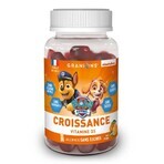 Granions Crescita di Pat Patrouille Bambino arancione 60 gomme Granions Crescita di Pat Patrouille Bambino arancione 60 gomme