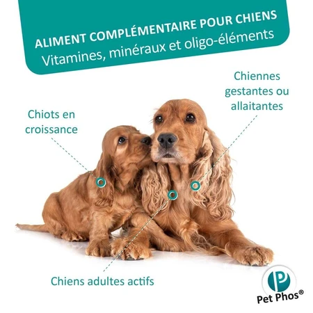 Ceva Pet Phos Croissance CA/P=1,3 Chiot 100 comprimés