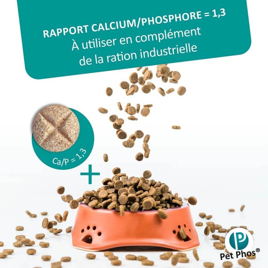 Ceva Pet Phos Crescita delle vendite/P=1,3 Cucciolo 100 compresse Ceva Pet Phos Crescita delle vendite/P=1,3 Cucciolo 100 compresse