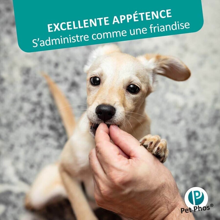 Ceva Pet Phos Crescita delle vendite/P=1,3 Cucciolo 100 compresse