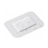 Lohmann Rauscher Curapor Apósitos quirúrgicos transparentes y estériles 5x7cm x5