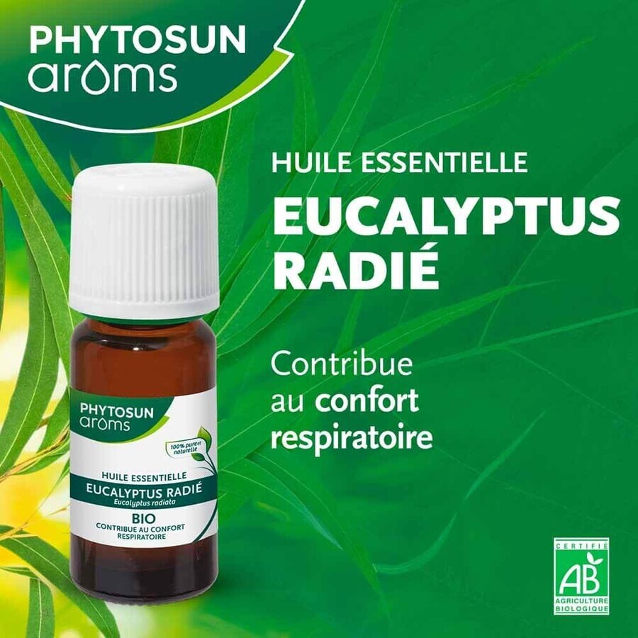 Phytosun Aroms Olio essenziale di Eucalipto Radiata 10ml Phytosun Aroms Olio essenziale di Eucalipto Radiata 10ml