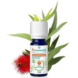 Puressentiel Aceites Esenciales Eucalipto Radiata Bio 30ml