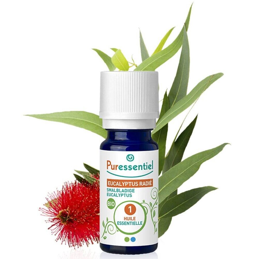 Acquista Puressentiel Oli essenziali Eucalipto Radiata Bio 30ml Puressentiel Oli essenziali Eucalipto Radiata Bio 30ml