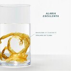 Laboratoires De Biarritz Océane Trockenöl Gesicht, Körper und Haar 100ml