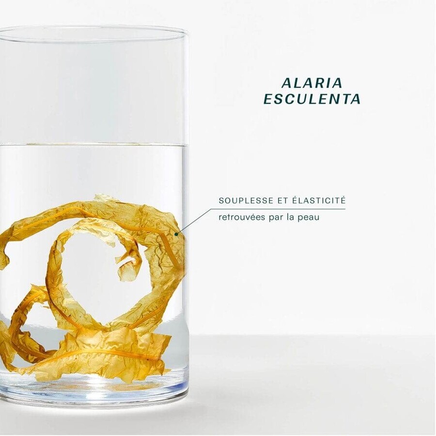 Laboratoires De Biarritz Océane Trockenöl Gesicht, Körper und Haar 100ml